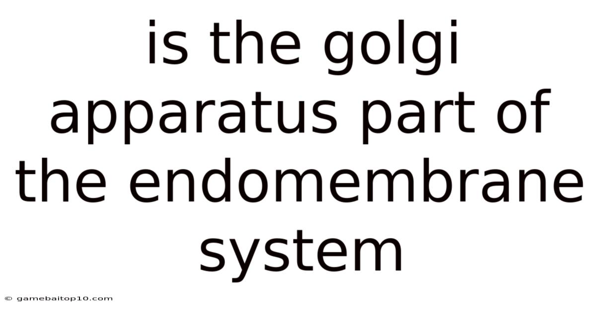 Is The Golgi Apparatus Part Of The Endomembrane System