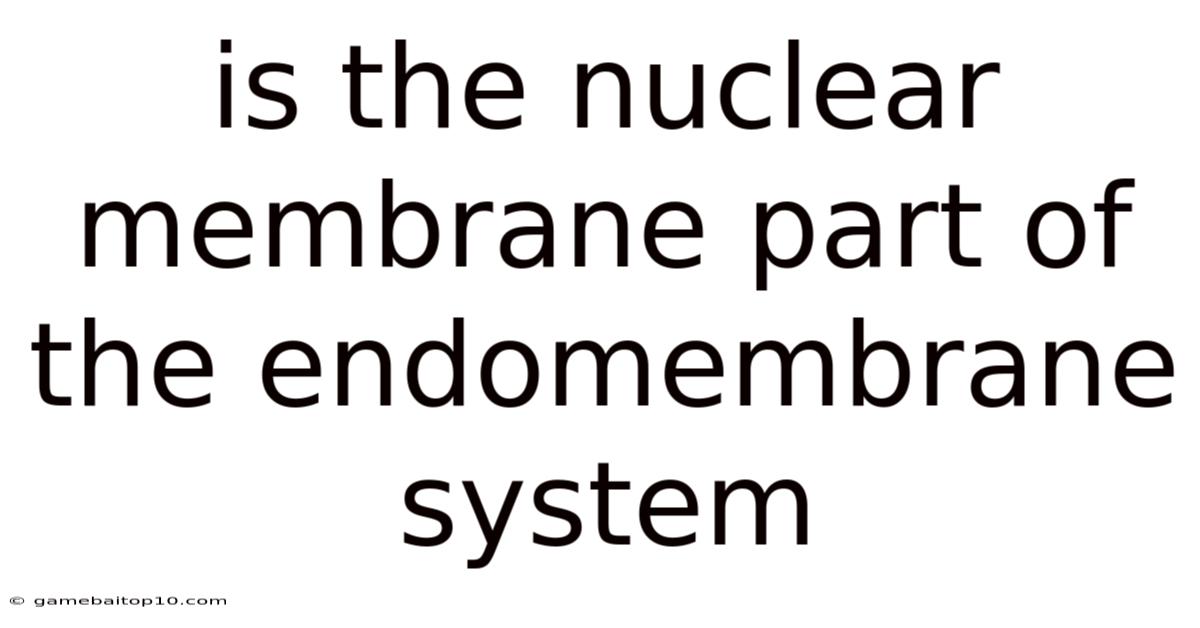 Is The Nuclear Membrane Part Of The Endomembrane System