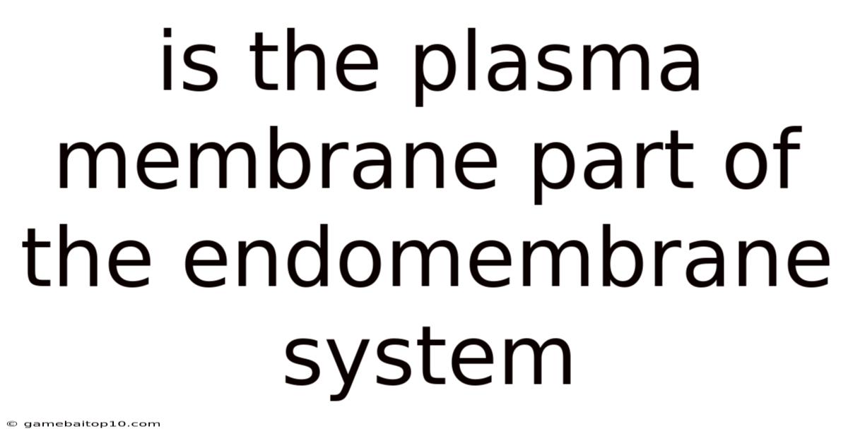 Is The Plasma Membrane Part Of The Endomembrane System