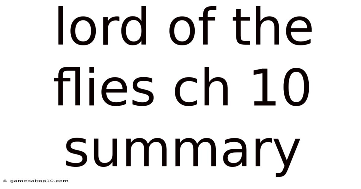 Lord Of The Flies Ch 10 Summary