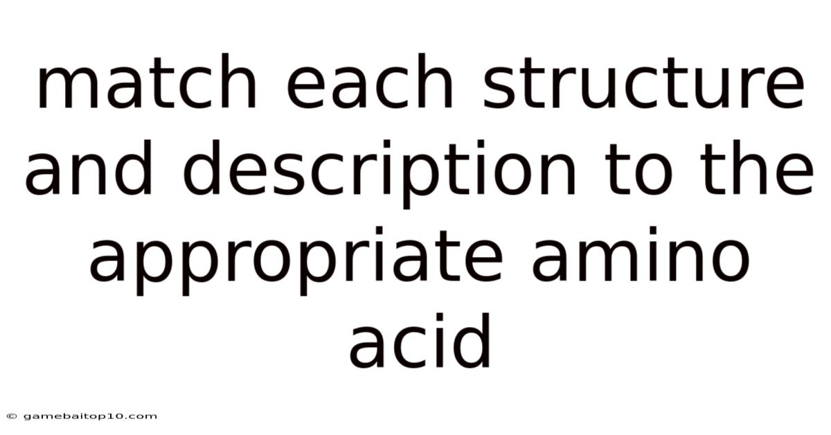 Match Each Structure And Description To The Appropriate Amino Acid