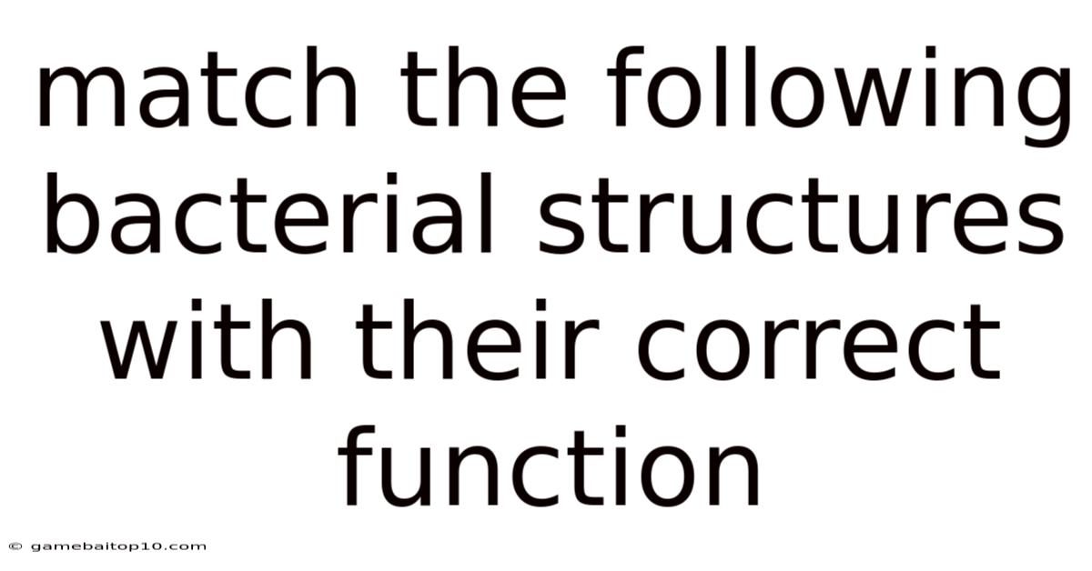 Match The Following Bacterial Structures With Their Correct Function
