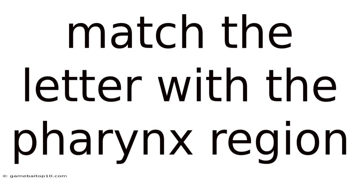 Match The Letter With The Pharynx Region