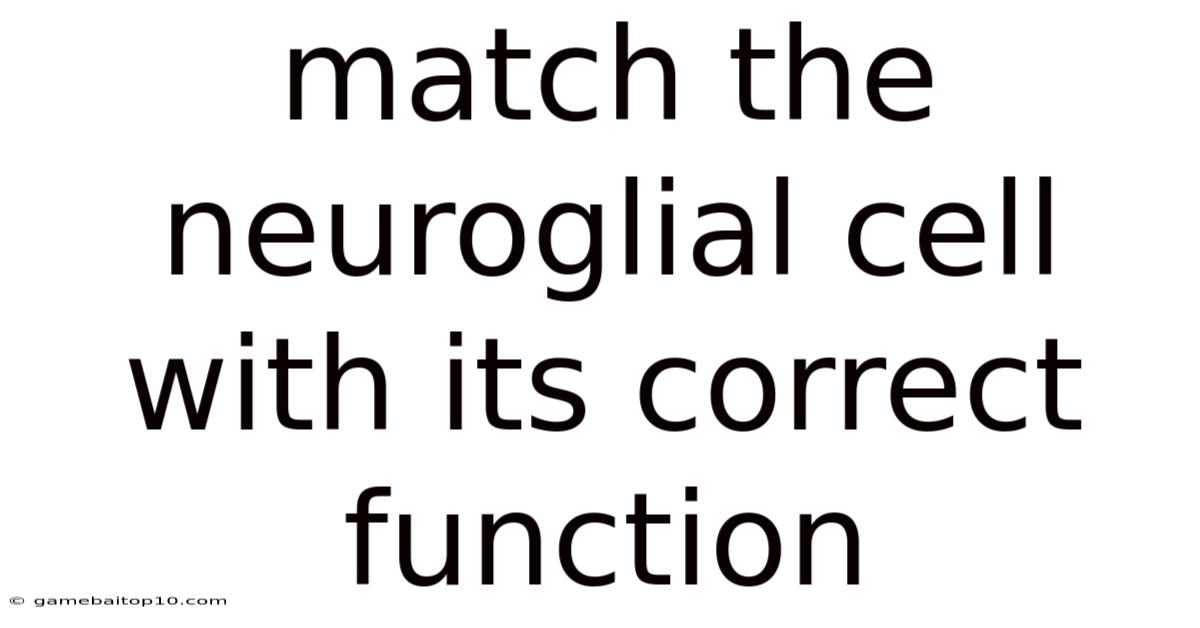Match The Neuroglial Cell With Its Correct Function