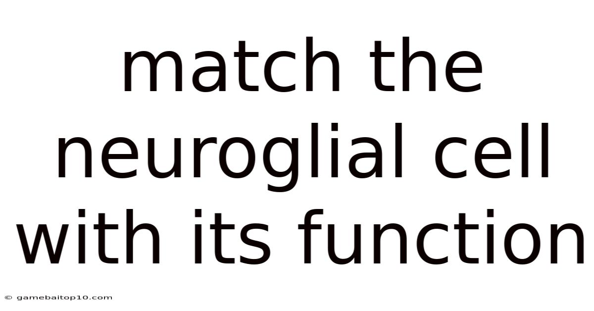 Match The Neuroglial Cell With Its Function