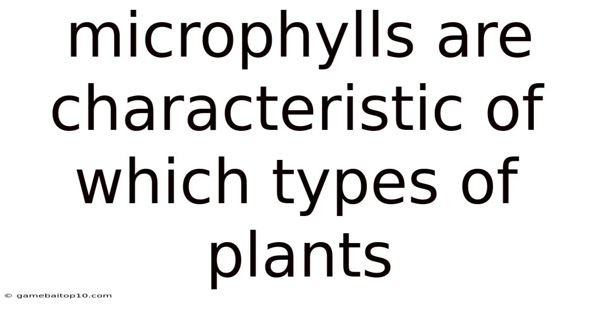 Microphylls Are Characteristic Of Which Types Of Plants