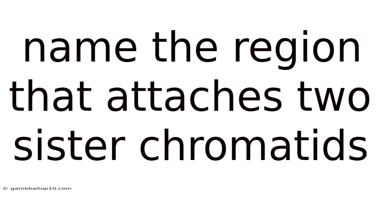 Name The Region That Attaches Two Sister Chromatids