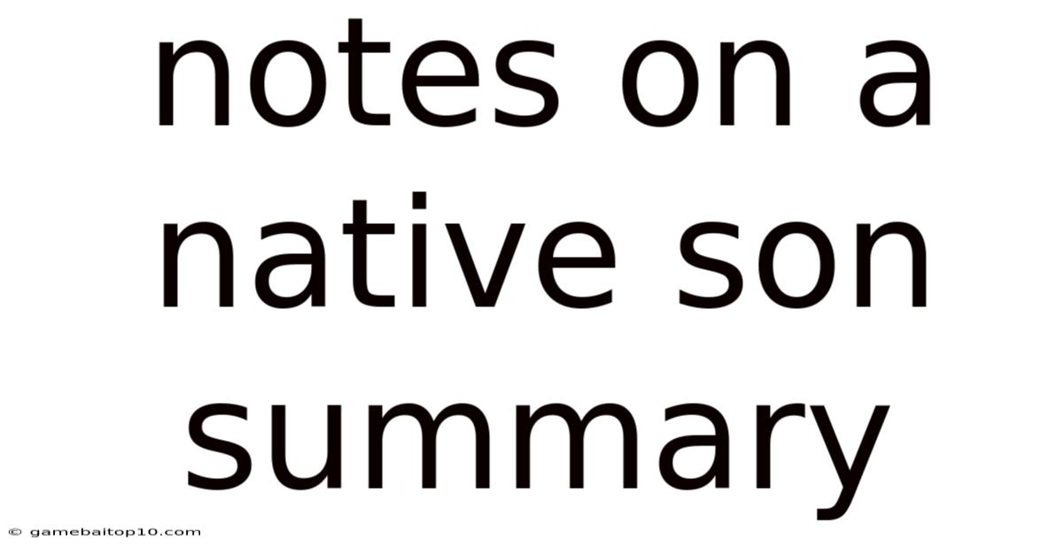 Notes On A Native Son Summary