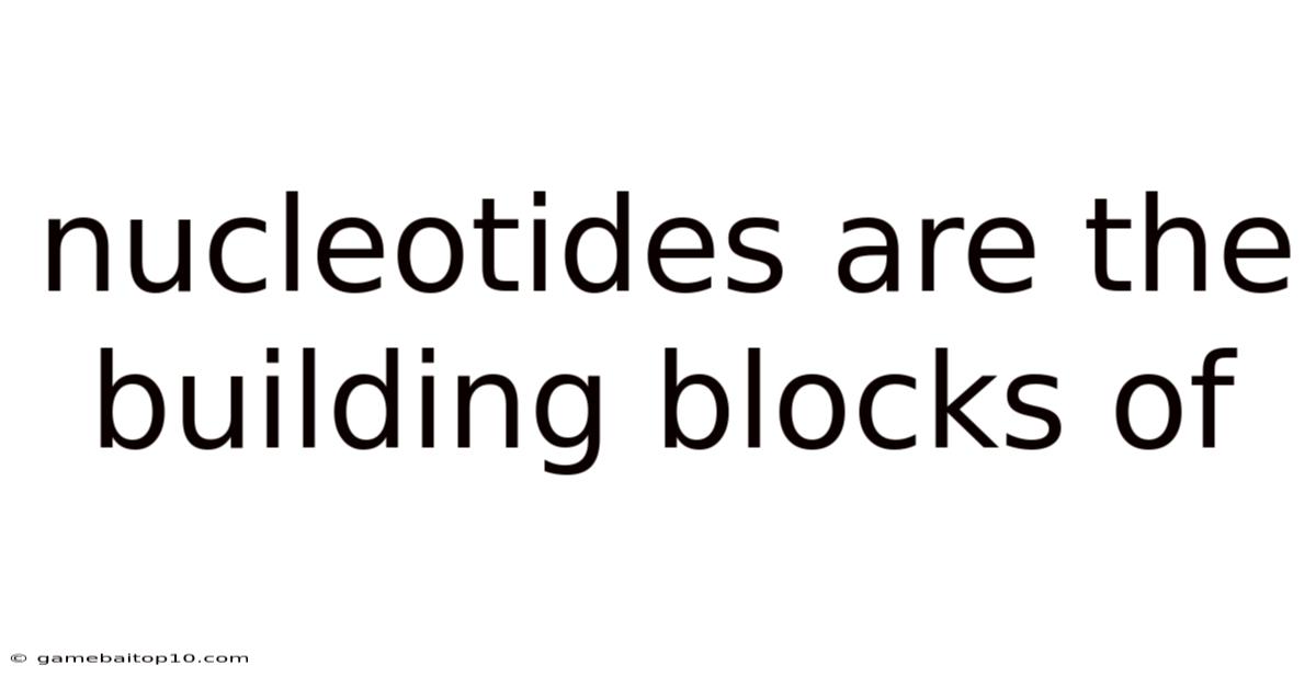 Nucleotides Are The Building Blocks Of