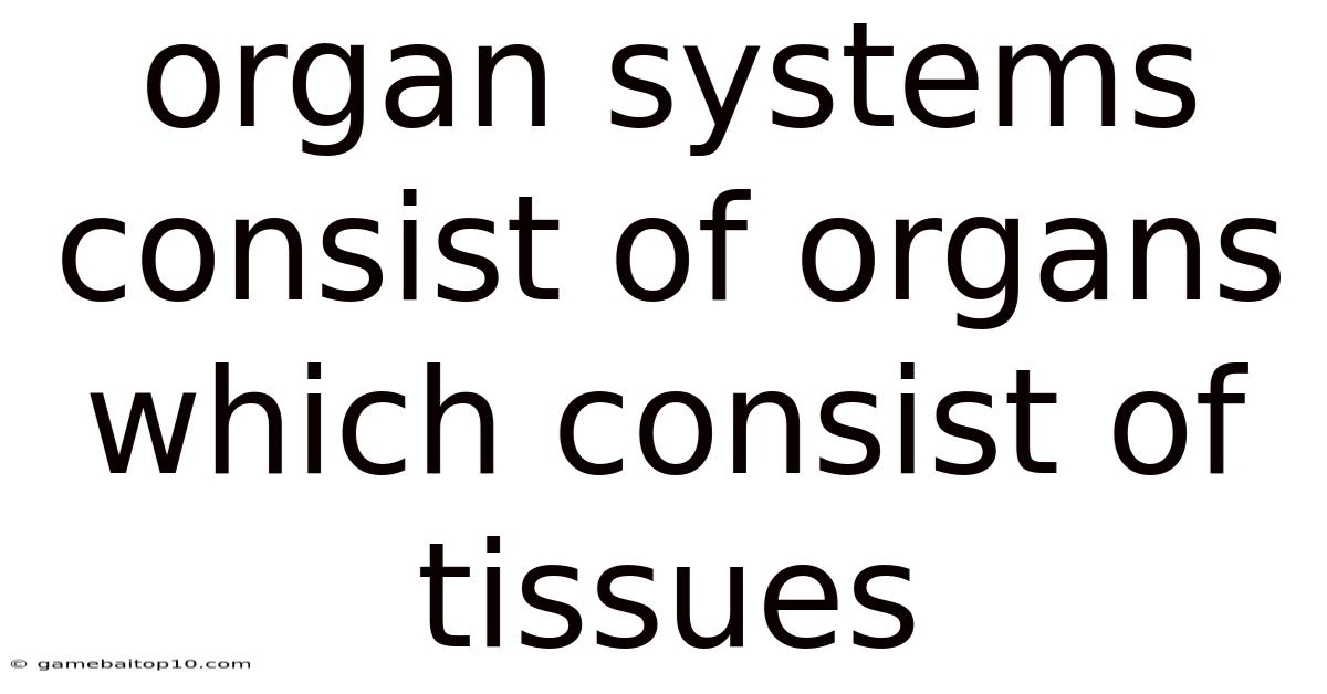 Organ Systems Consist Of Organs Which Consist Of Tissues