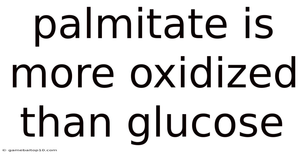 Palmitate Is More Oxidized Than Glucose