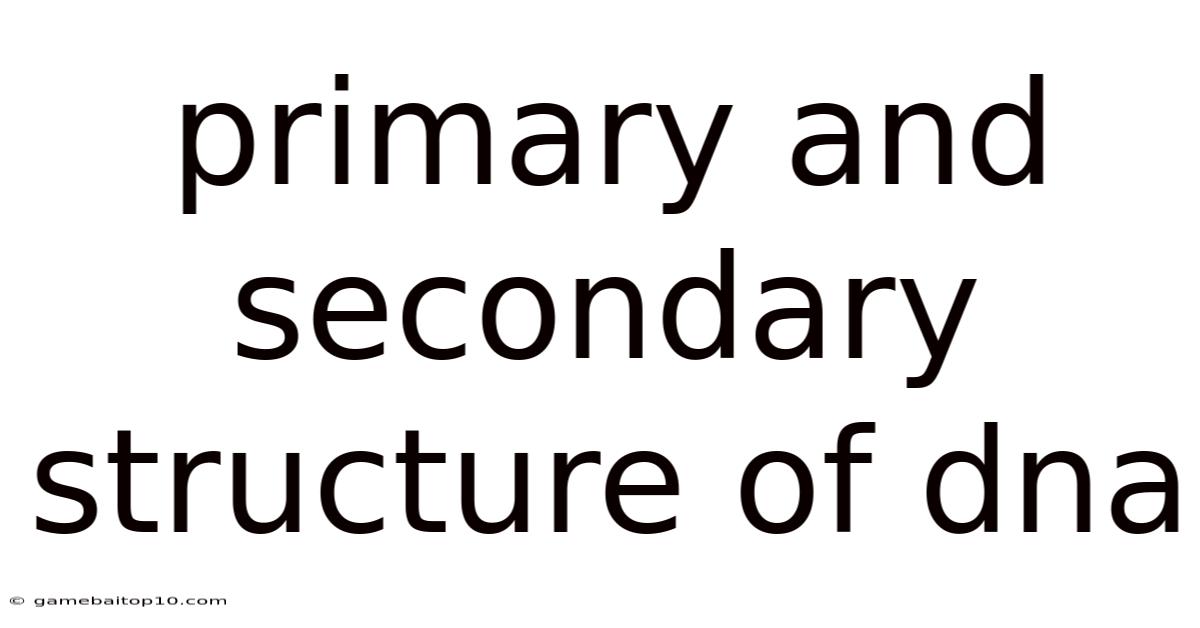 Primary And Secondary Structure Of Dna