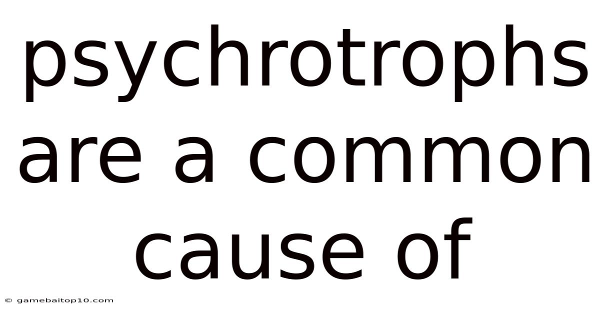Psychrotrophs Are A Common Cause Of