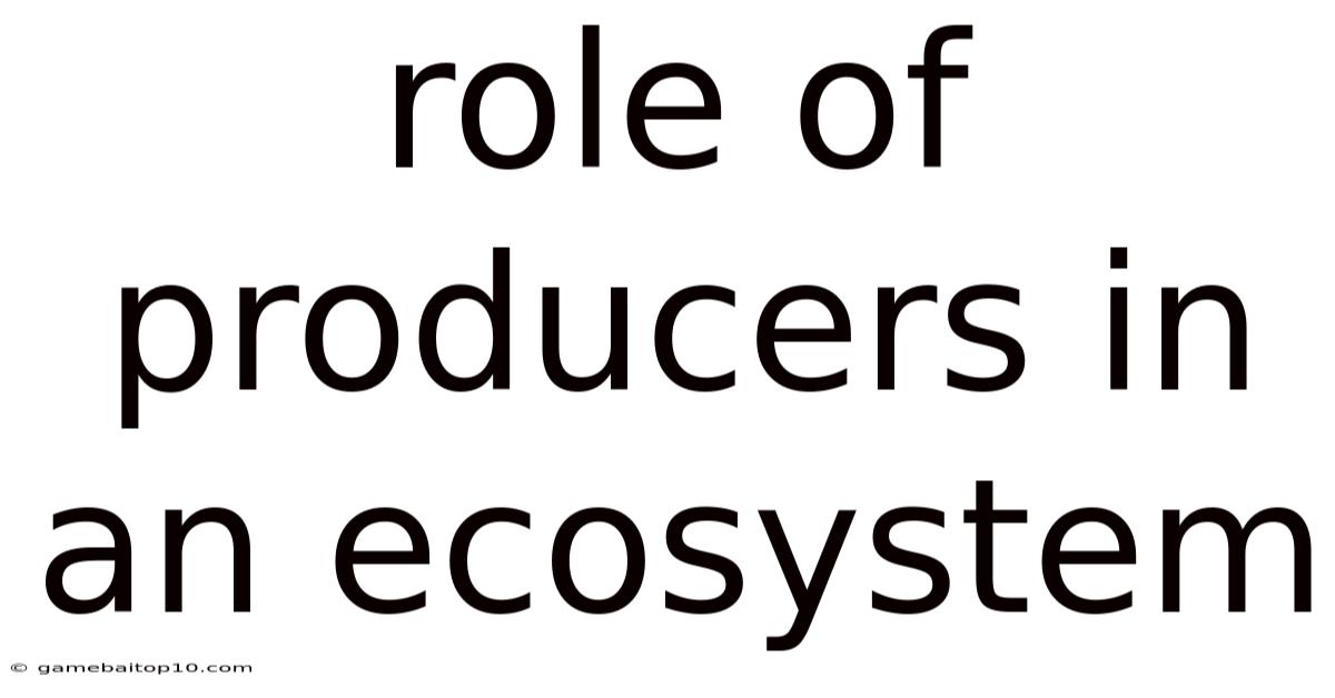 Role Of Producers In An Ecosystem