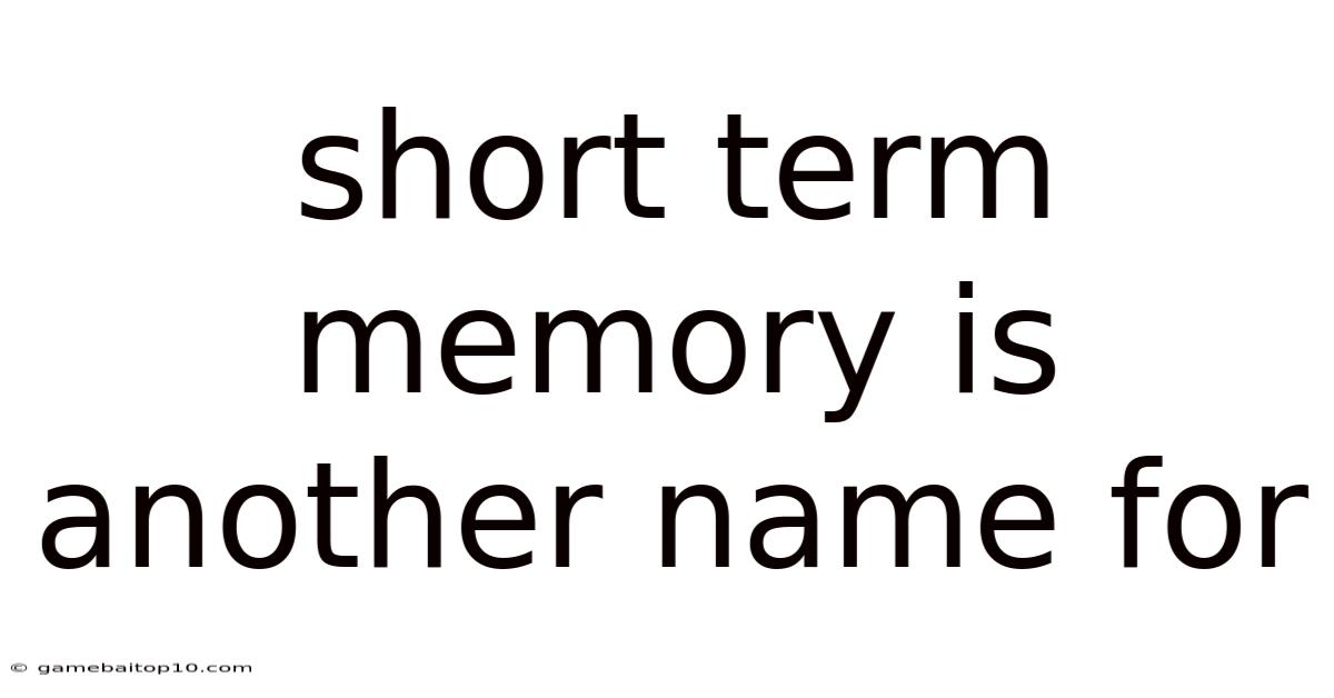 Short Term Memory Is Another Name For