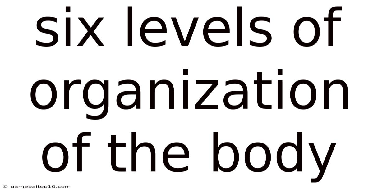 Six Levels Of Organization Of The Body
