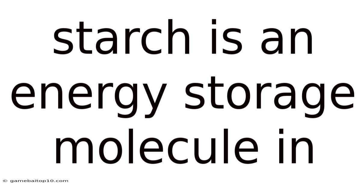 Starch Is An Energy Storage Molecule In