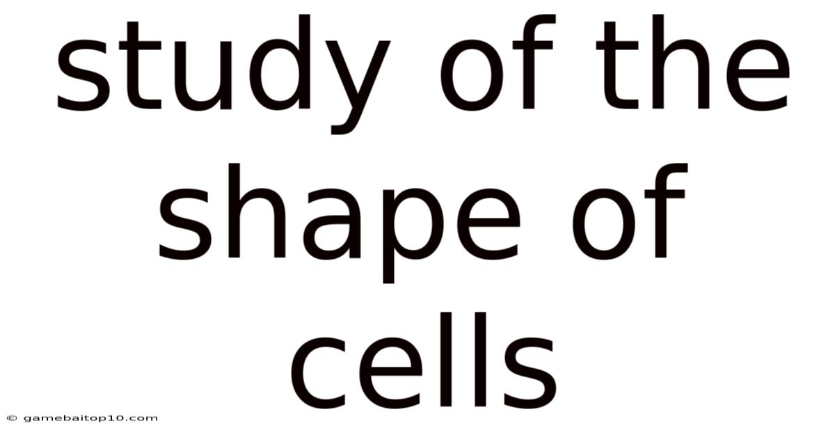Study Of The Shape Of Cells
