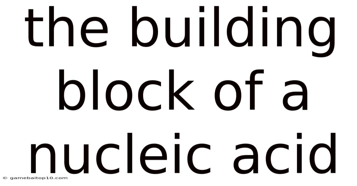 The Building Block Of A Nucleic Acid