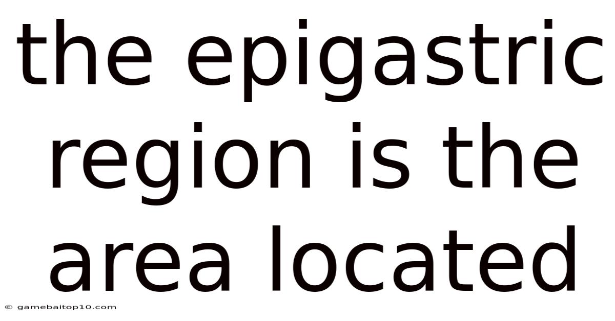 The Epigastric Region Is The Area Located