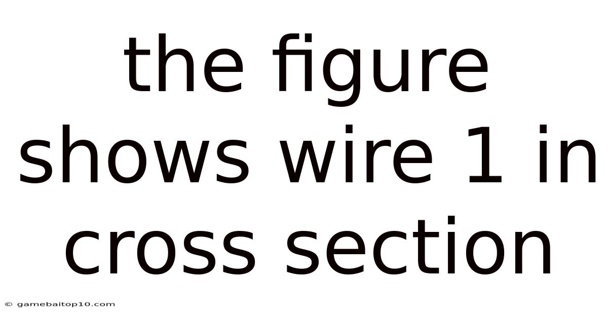 The Figure Shows Wire 1 In Cross Section