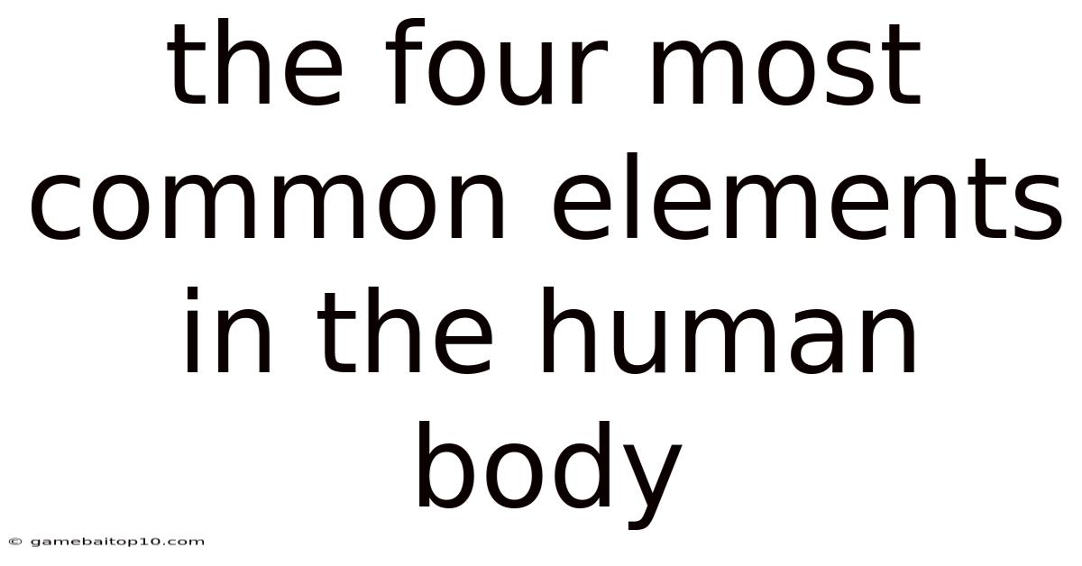 The Four Most Common Elements In The Human Body