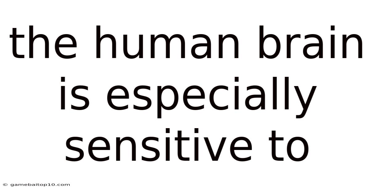 The Human Brain Is Especially Sensitive To