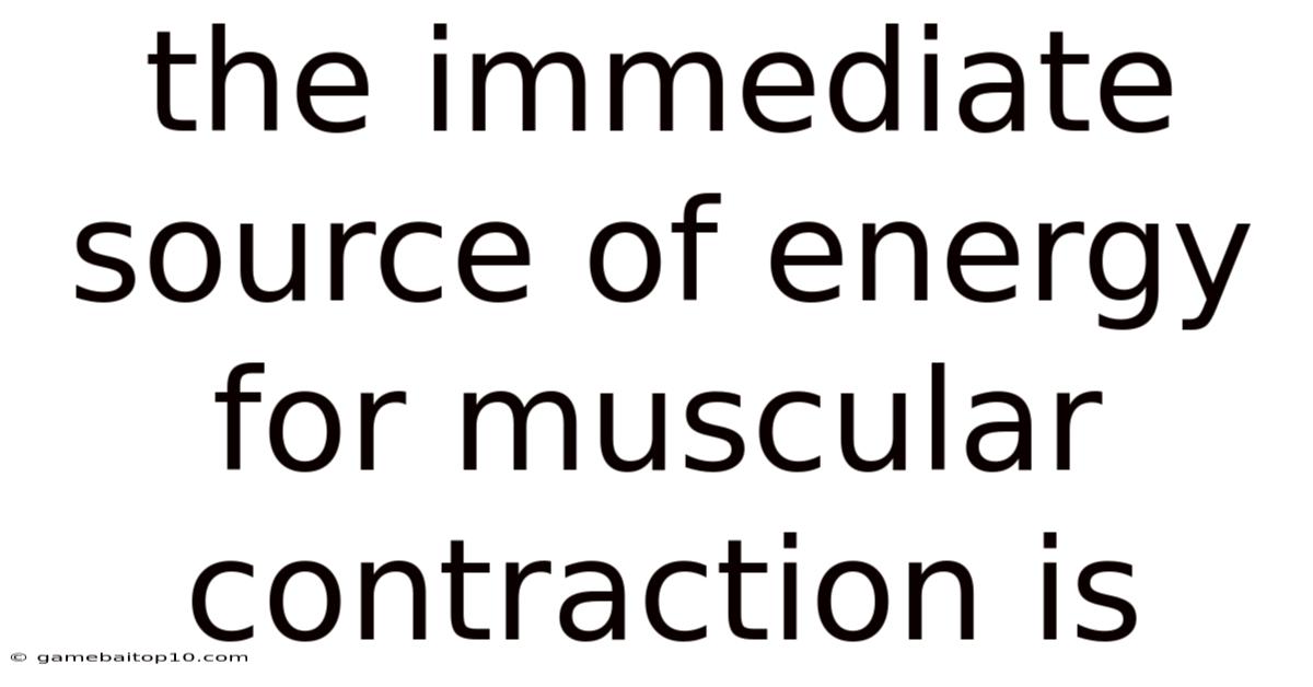 The Immediate Source Of Energy For Muscular Contraction Is