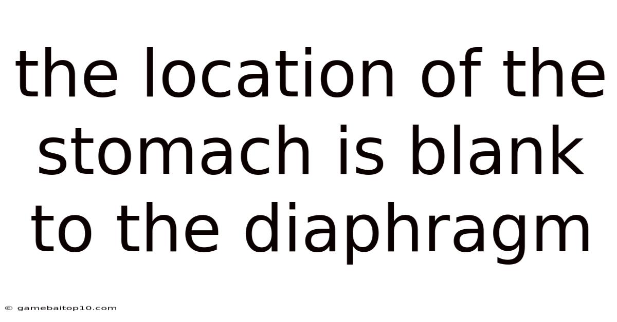 The Location Of The Stomach Is Blank To The Diaphragm