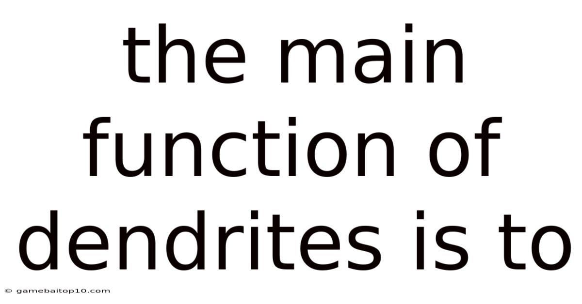 The Main Function Of Dendrites Is To