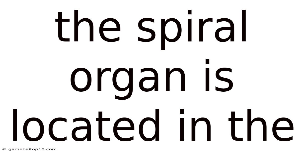 The Spiral Organ Is Located In The