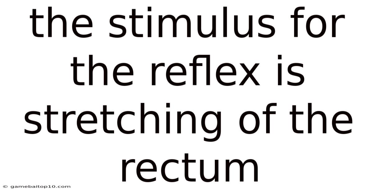 The Stimulus For The Reflex Is Stretching Of The Rectum