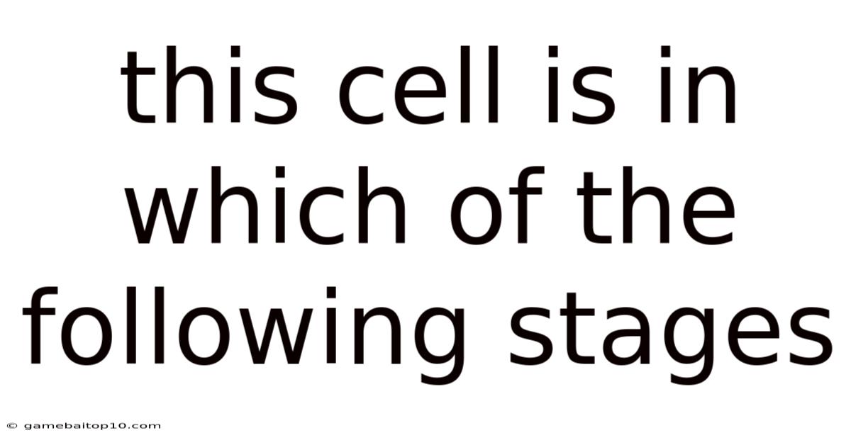 This Cell Is In Which Of The Following Stages