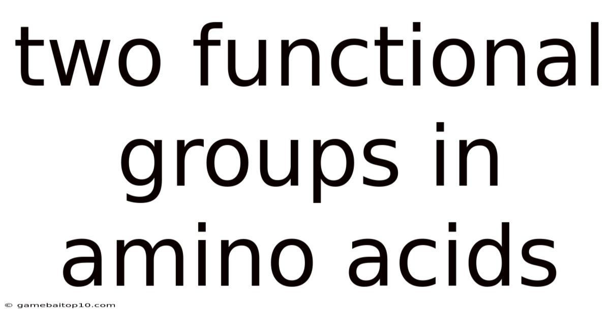 Two Functional Groups In Amino Acids