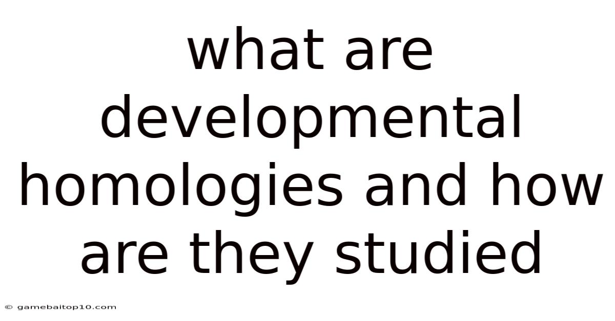 What Are Developmental Homologies And How Are They Studied