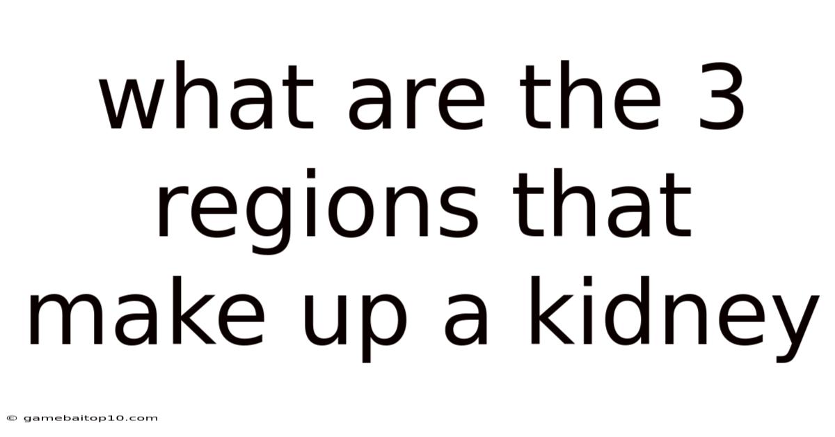 What Are The 3 Regions That Make Up A Kidney