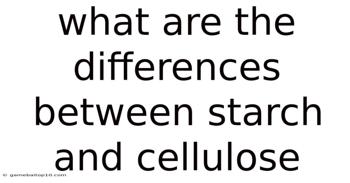 What Are The Differences Between Starch And Cellulose