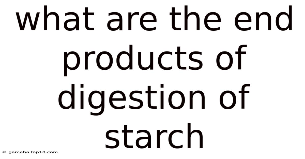 What Are The End Products Of Digestion Of Starch