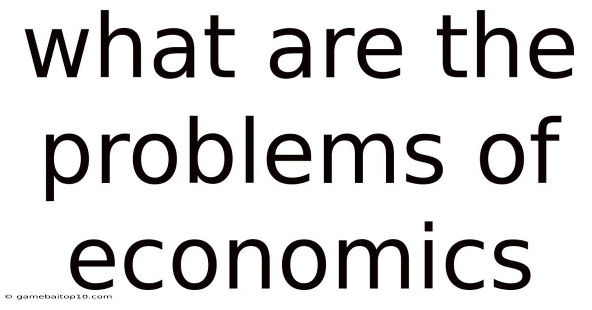 What Are The Problems Of Economics