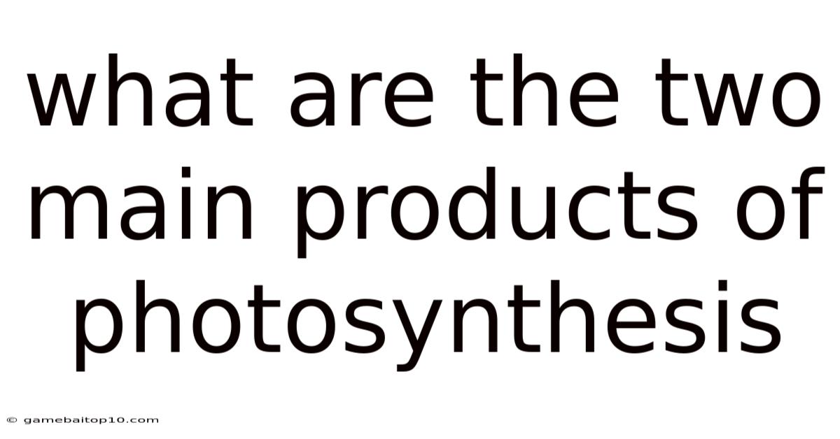 What Are The Two Main Products Of Photosynthesis
