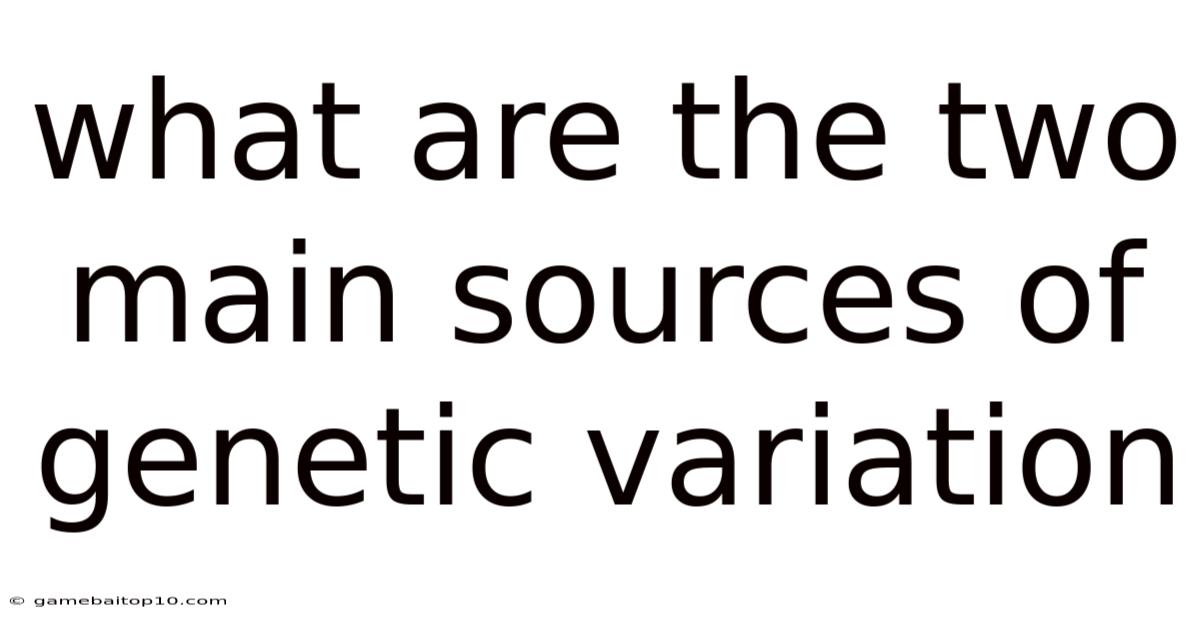 What Are The Two Main Sources Of Genetic Variation