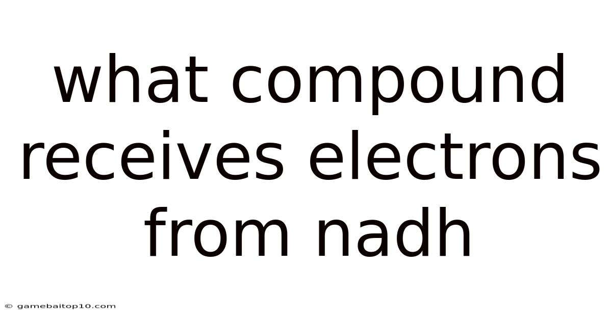 What Compound Receives Electrons From Nadh