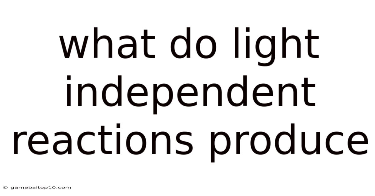 What Do Light Independent Reactions Produce