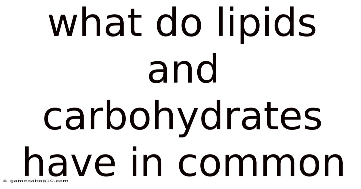 What Do Lipids And Carbohydrates Have In Common
