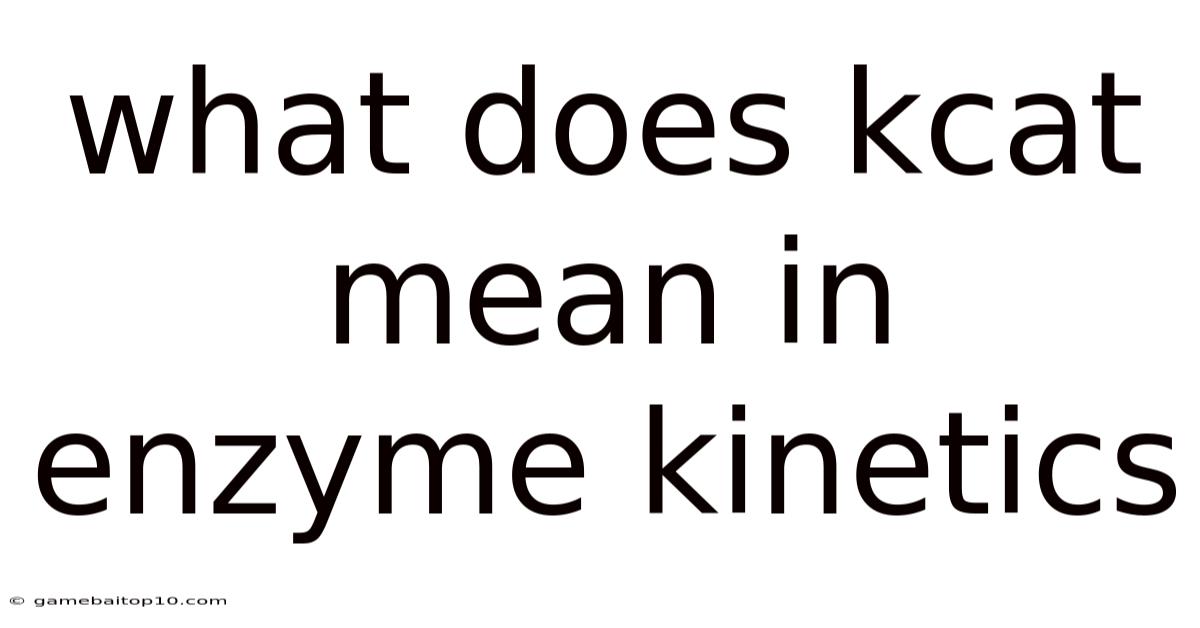 What Does Kcat Mean In Enzyme Kinetics