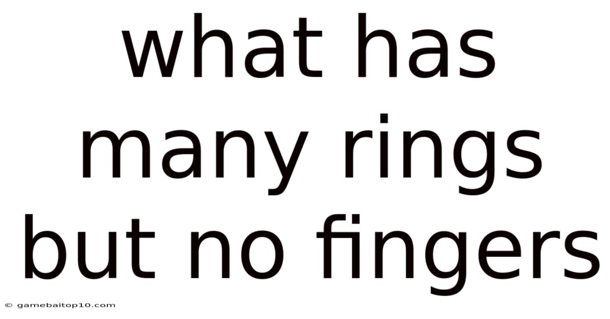 What Has Many Rings But No Fingers