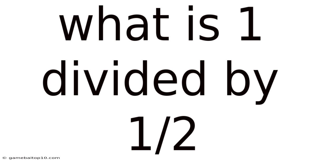 What Is 1 Divided By 1/2