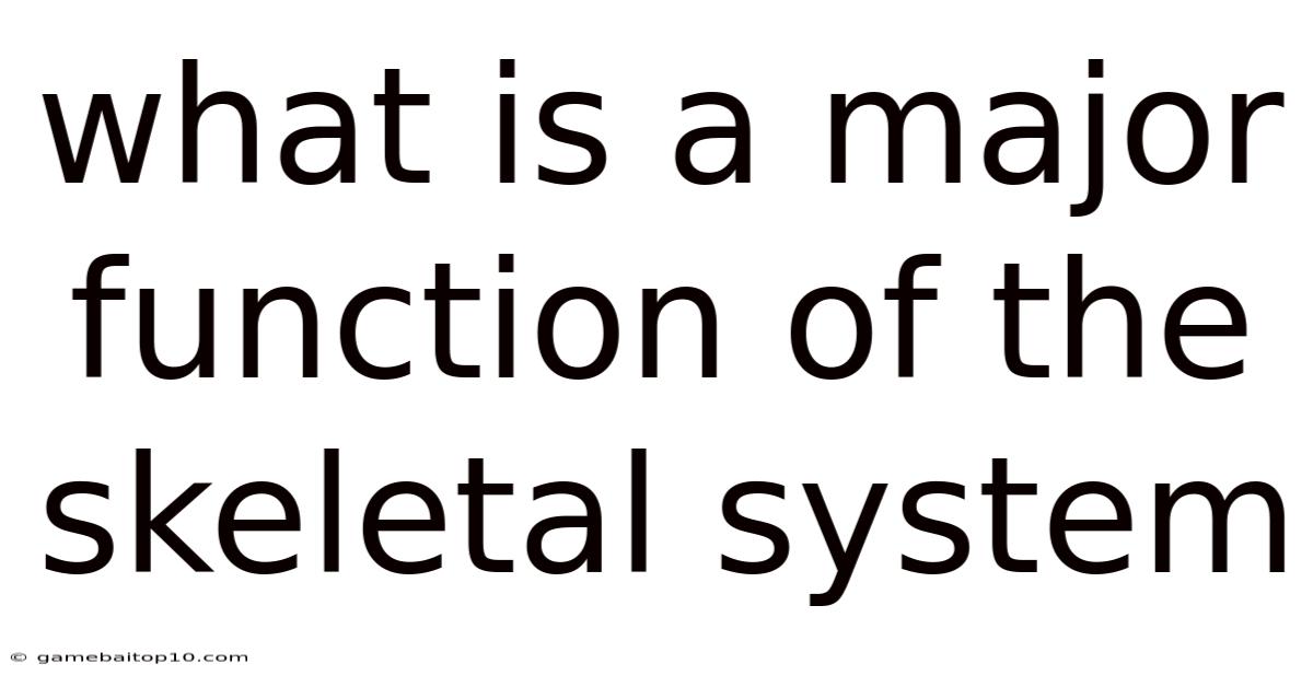 What Is A Major Function Of The Skeletal System
