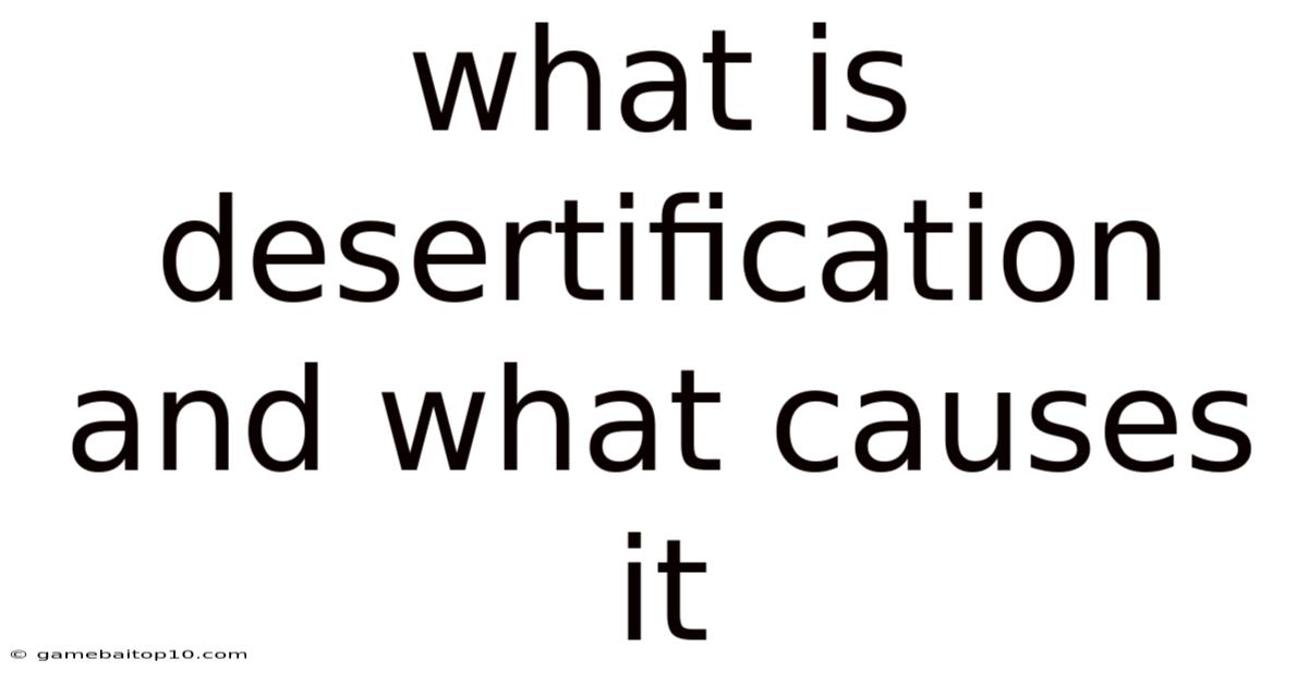 What Is Desertification And What Causes It