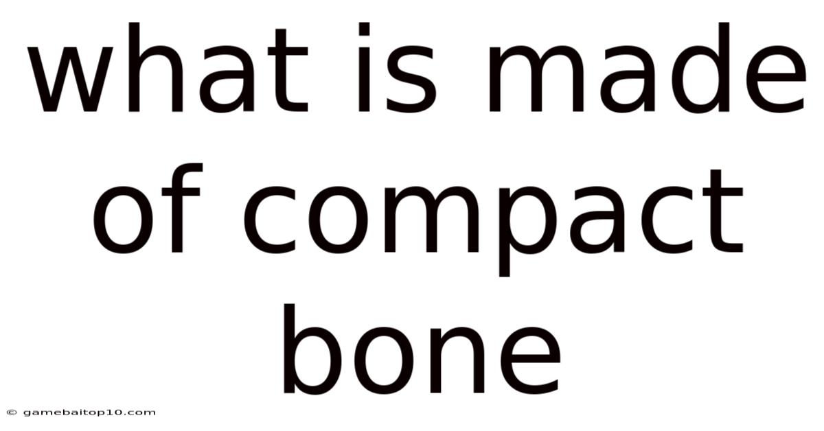 What Is Made Of Compact Bone